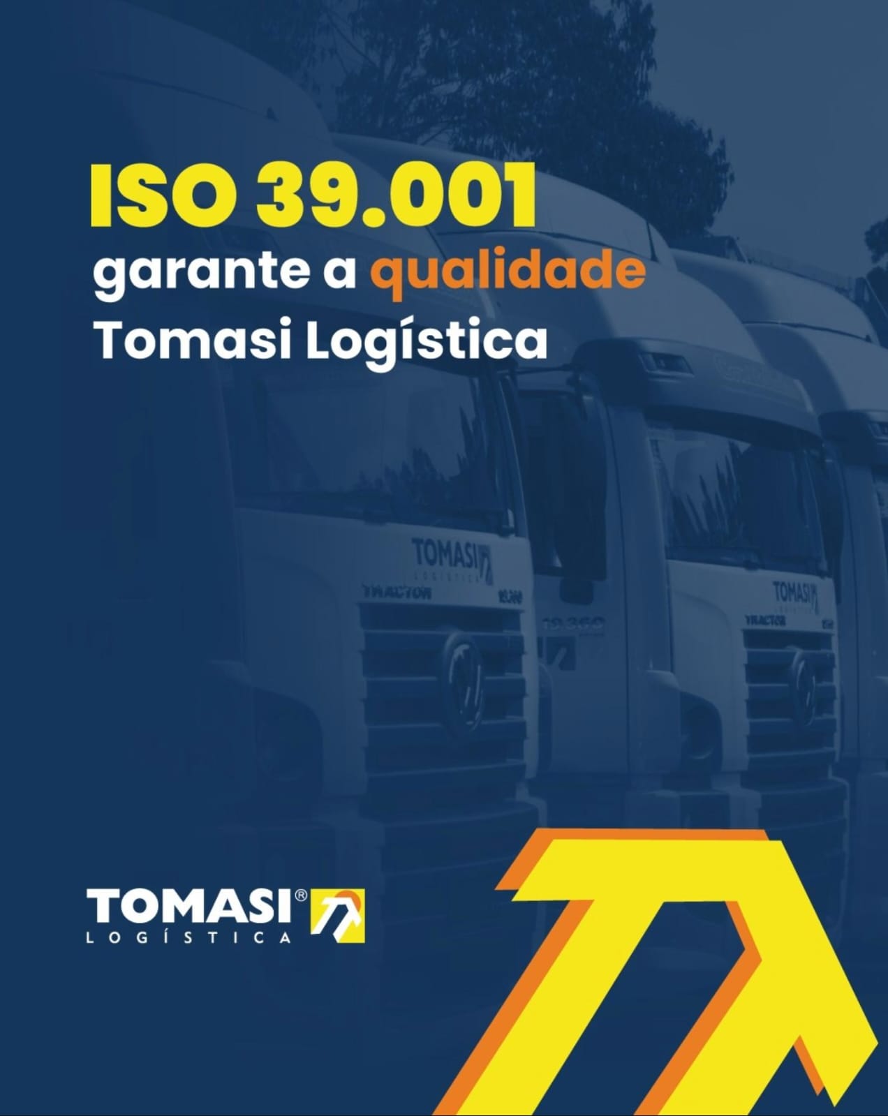 Screenshot 2 - Tomasi Logistica